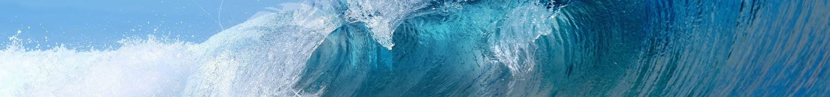 多乐捕鱼麻将是哪个游戏：miya保藏请紧记此区域